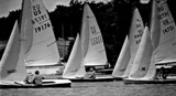 snipe regatta 74 